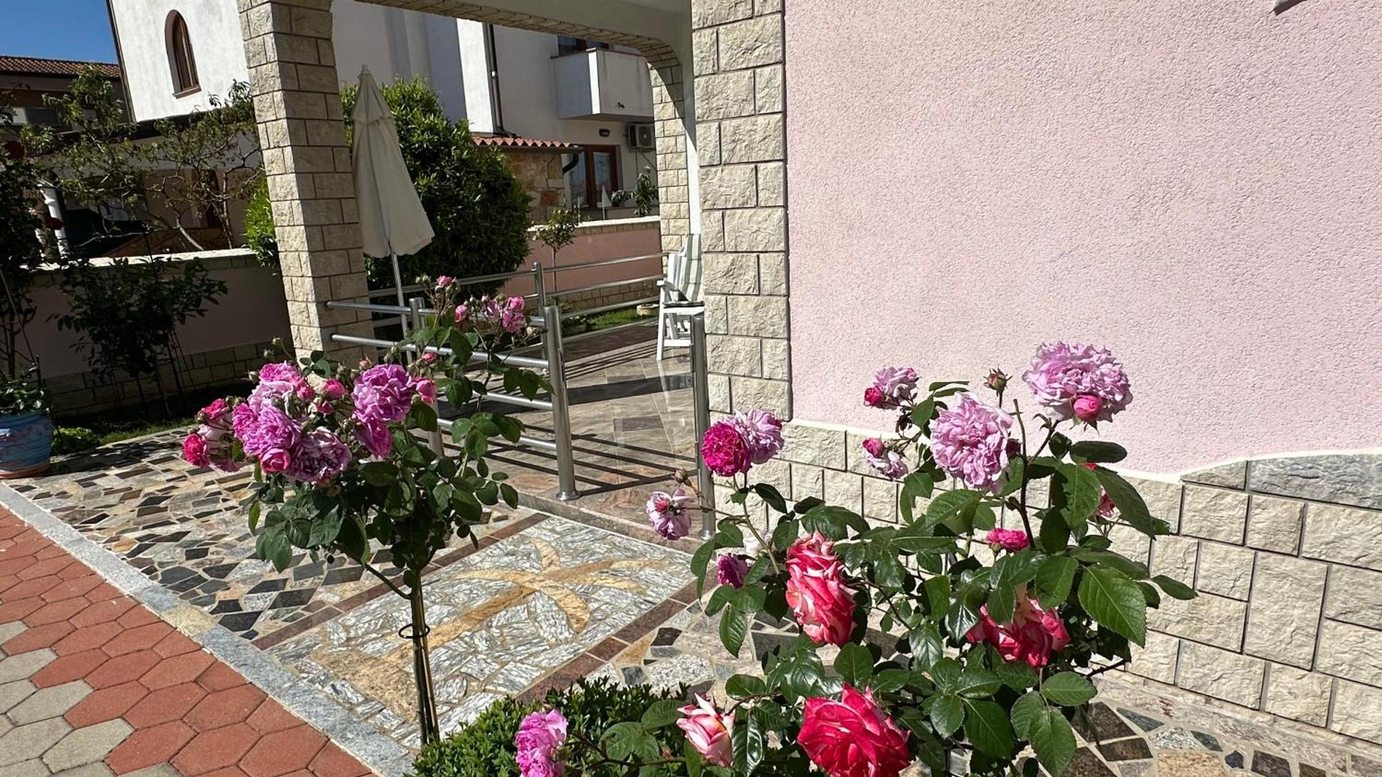 Villa Baldi -Apartmani Danny Tar-Vabriga エクステリア 写真